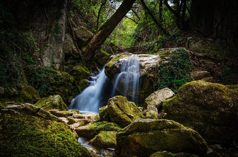 Waterfall in Forest